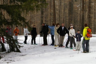  Ruta con raquetas de nieve por el bosque 